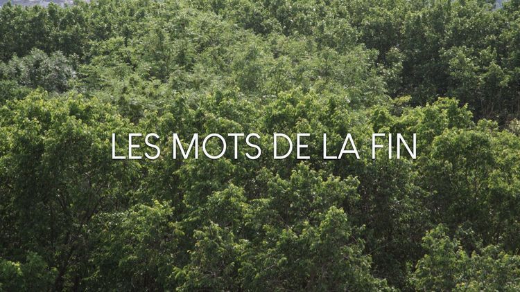 Les Mots de la Fin © Les Films de la Passerelle- 10.jpg