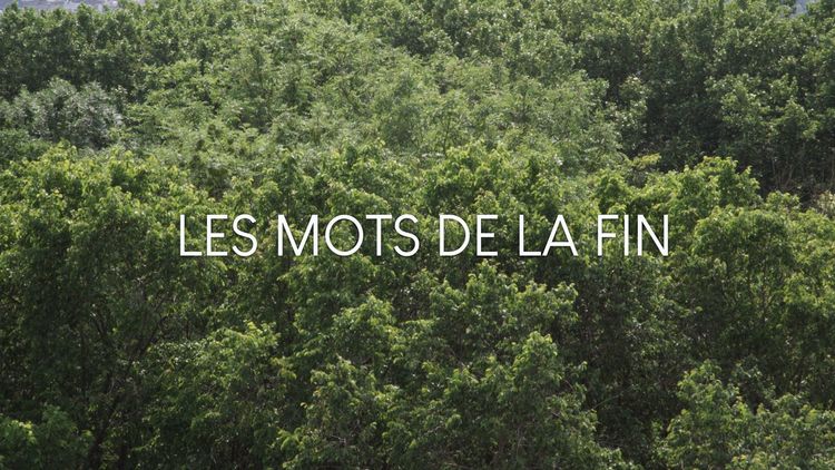 Les Mots de la Fin © Les Films de la Passerelle- 10.jpg