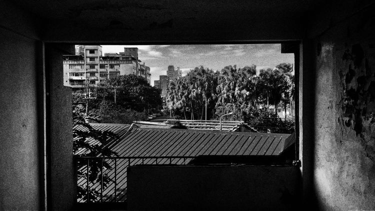still002_1_TAIWAN DOC _0.jpg