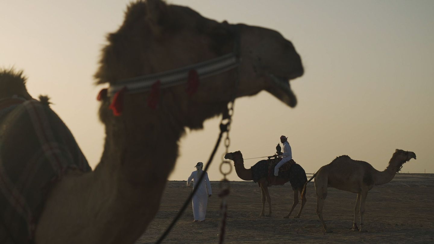 https://viewpoint.pts.org.tw/cms/uploads/large_QATAR_C_BRAINWORKS_019_7976c0b61c.jpg