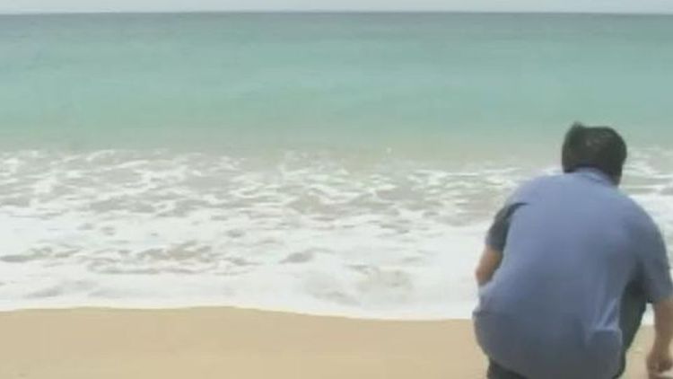 美麗的遠行