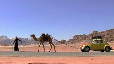 金龜車狂
