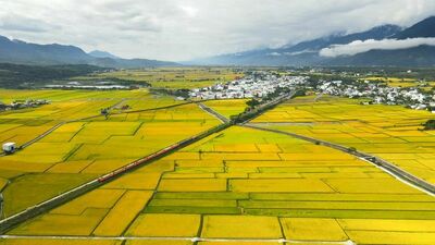 稻浪上的夢想家