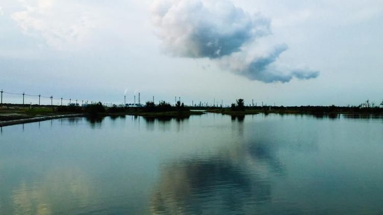 在雲裡