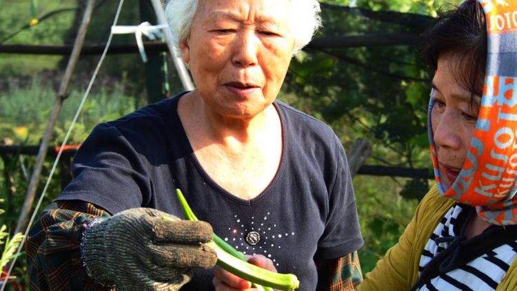 農地重金屬樂章