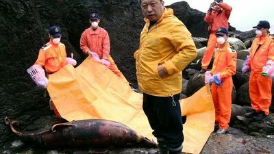 鯨與象