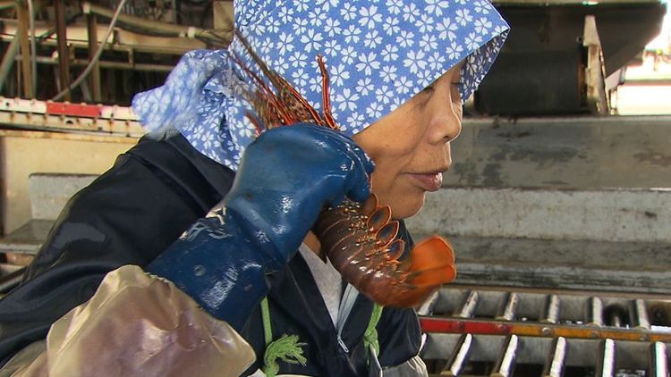 東京的肚子