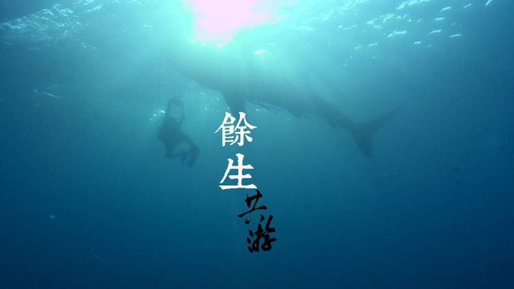餘生.共游 (上)