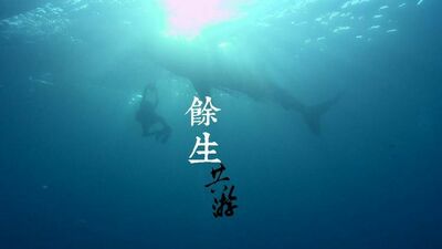 餘生.共游 (上)