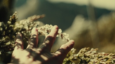 雪水消融的季節